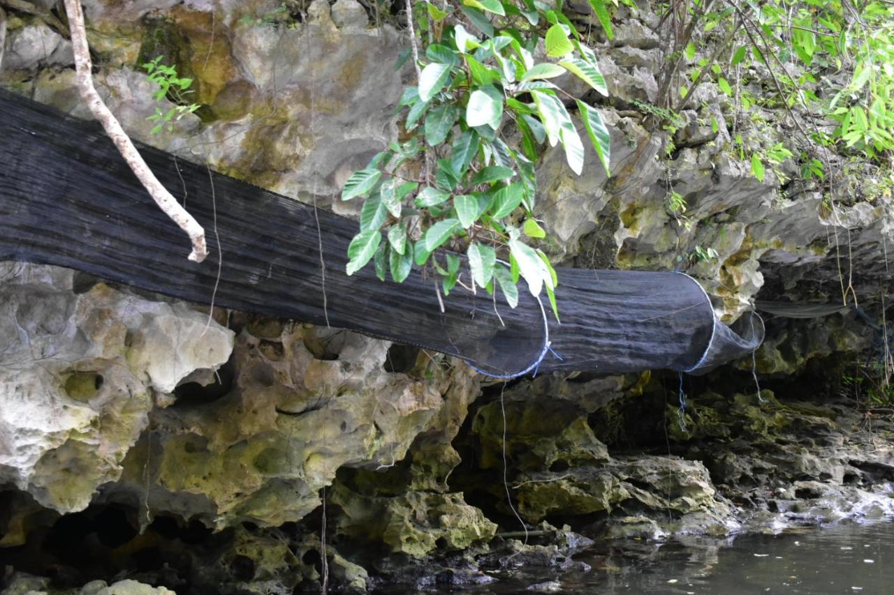 Kampoeng Karst Rammang Rammang Guest House Kasijala Екстериор снимка