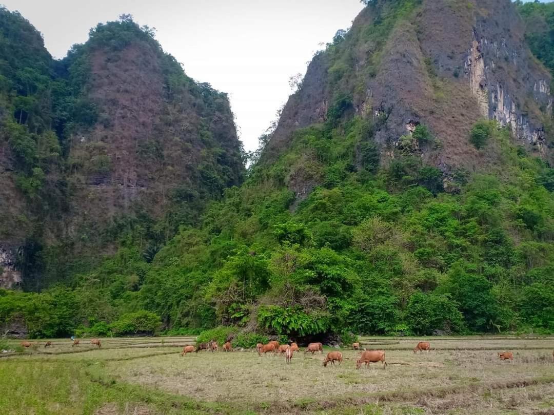 Kampoeng Karst Rammang Rammang Guest House Kasijala Екстериор снимка