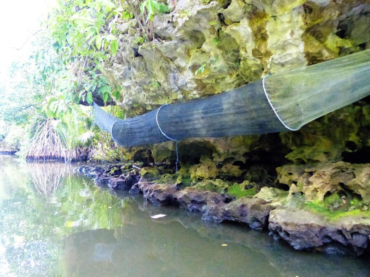 Kampoeng Karst Rammang Rammang Guest House Kasijala Екстериор снимка