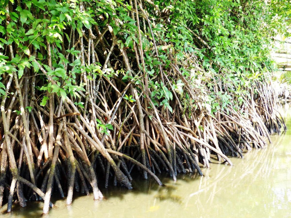 Kampoeng Karst Rammang Rammang Guest House Kasijala Екстериор снимка