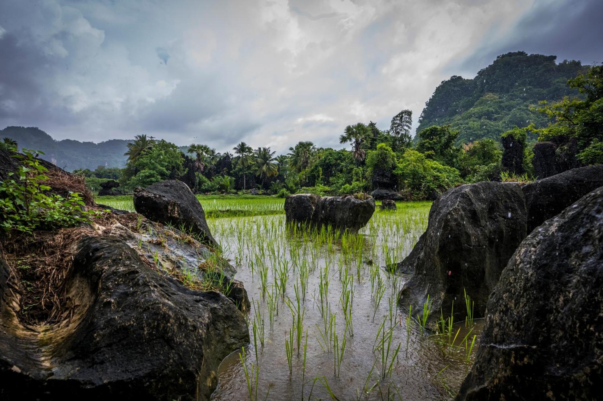 Kampoeng Karst Rammang Rammang Guest House Kasijala Екстериор снимка