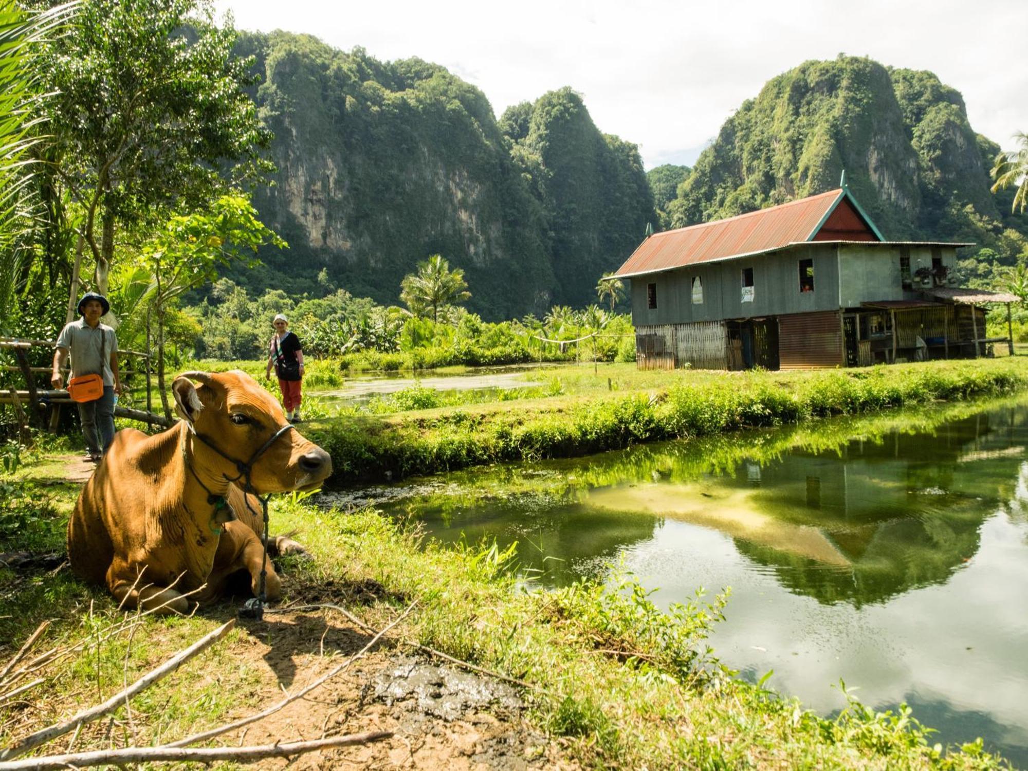 Kampoeng Karst Rammang Rammang Guest House Kasijala Екстериор снимка
